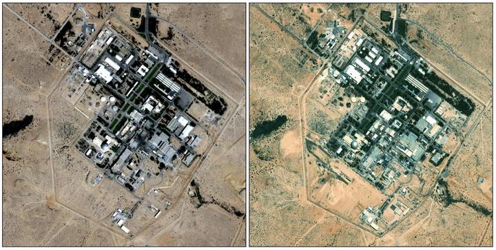 dimona-comparison.jpg